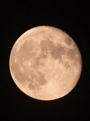 vollmond3009